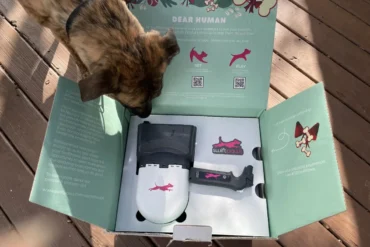 SwiftPaws
